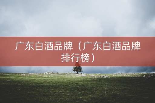 广东白酒品牌（广东白酒品牌排行榜）