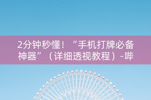 2分钟秒懂！“手机打牌必备神器”（详细透视教程）-哔哩哔哩