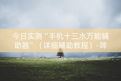 今日实测“手机十三水万能辅助器”（详细辅助教程）-哔哩哔哩