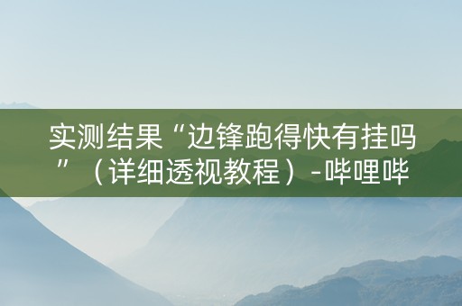 实测结果“边锋跑得快有挂吗”（详细透视教程）-哔哩哔哩