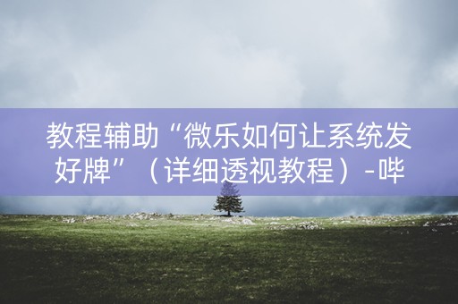 教程辅助“微乐如何让系统发好牌”（详细透视教程）-哔哩哔哩