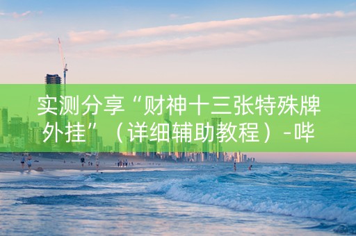 实测分享“财神十三张特殊牌外挂”（详细辅助教程）-哔哩哔哩