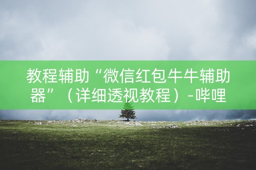 教程辅助“微信红包牛牛辅助器”（详细透视教程）-哔哩哔哩