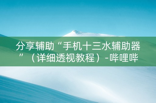 分享辅助“手机十三水辅助器”（详细透视教程）-哔哩哔哩