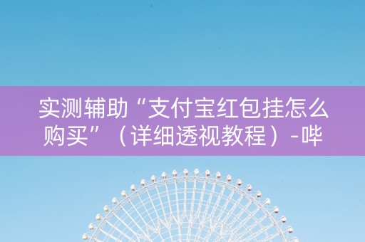 实测辅助“支付宝红包挂怎么购买”（详细透视教程）-哔哩哔哩