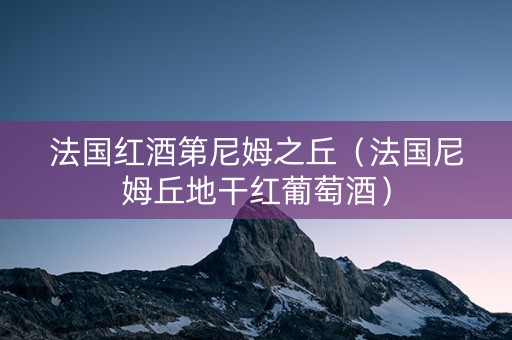 法国红酒第尼姆之丘（法国尼姆丘地干红葡萄酒）