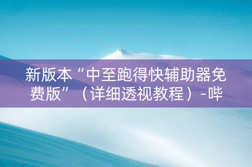 新版本“中至跑得快辅助器免费版”（详细透视教程）-哔哩哔哩