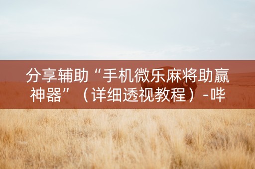分享辅助“手机微乐麻将助赢神器”（详细透视教程）-哔哩哔哩