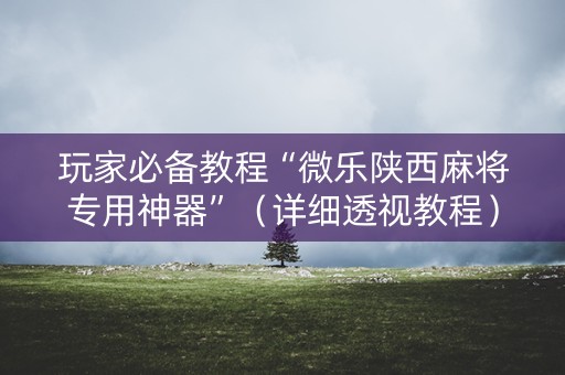 玩家必备教程“微乐陕西麻将专用神器”（详细透视教程）-哔哩哔哩