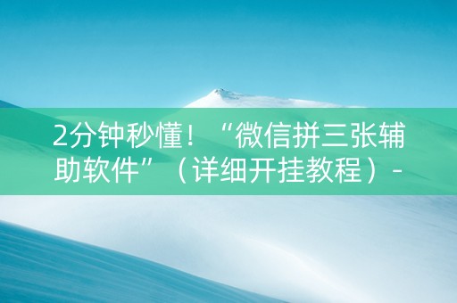 2分钟秒懂！“微信拼三张辅助软件”（详细开挂教程）-哔哩哔哩