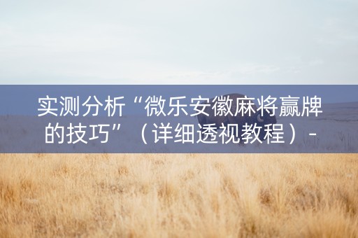 实测分析“微乐安徽麻将赢牌的技巧”（详细透视教程）-哔哩哔哩