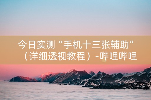 今日实测“手机十三张辅助”（详细透视教程）-哔哩哔哩