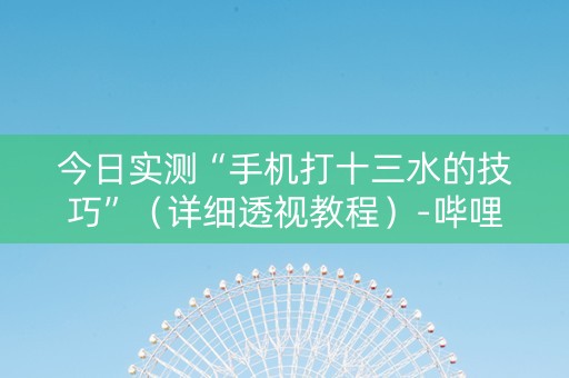 今日实测“手机打十三水的技巧”（详细透视教程）-哔哩哔哩