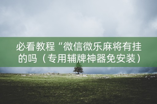 必看教程“微信微乐麻将有挂的吗（专用辅牌神器免安装）