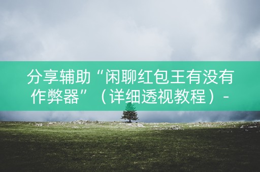 分享辅助“闲聊红包王有没有作弊器”（详细透视教程）-哔哩哔哩