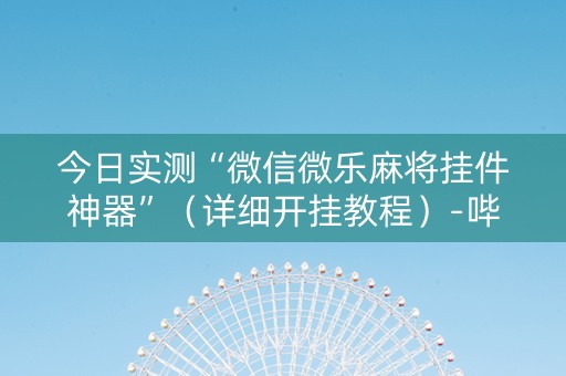 今日实测“微信微乐麻将挂件神器”（详细开挂教程）-哔哩哔哩
