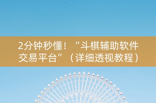 2分钟秒懂！“斗棋辅助软件交易平台”（详细透视教程）-哔哩哔哩
