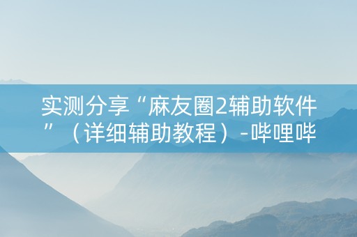 实测分享“麻友圈2辅助软件”（详细辅助教程）-哔哩哔哩