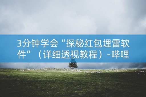 3分钟学会“探秘红包埋雷软件”（详细透视教程）-哔哩哔哩