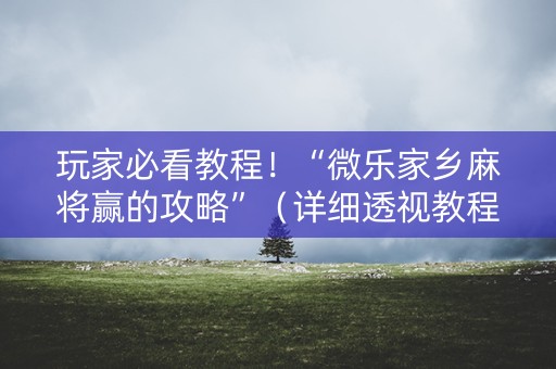 玩家必看教程！“微乐家乡麻将赢的攻略”（详细透视教程）-哔哩哔哩