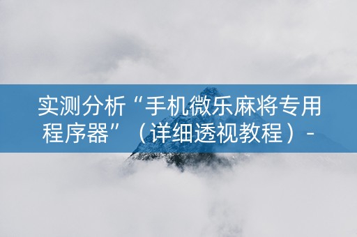 实测分析“手机微乐麻将专用程序器”（详细透视教程）-哔哩哔哩