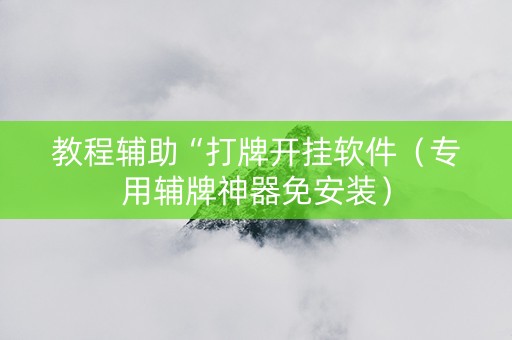教程辅助“打牌开挂软件（专用辅牌神器免安装）