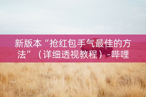 新版本“抢红包手气最佳的方法”（详细透视教程）-哔哩哔哩