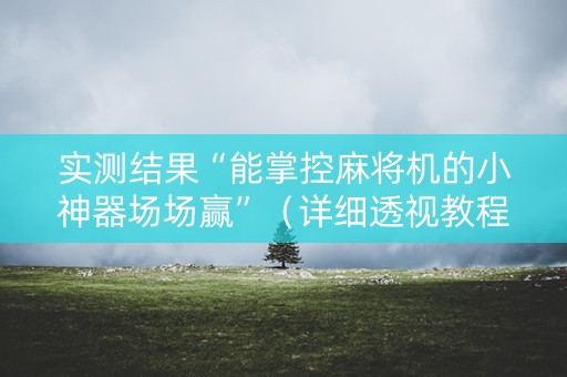 实测结果“能掌控麻将机的小神器场场赢”（详细透视教程）-哔哩哔哩