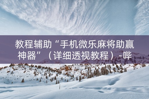 教程辅助“手机微乐麻将助赢神器”（详细透视教程）-哔哩哔哩