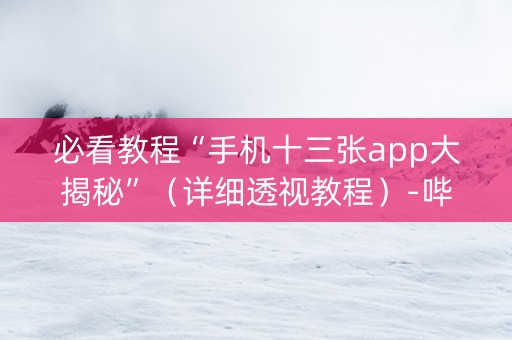 必看教程“手机十三张app大揭秘”（详细透视教程）-哔哩哔哩