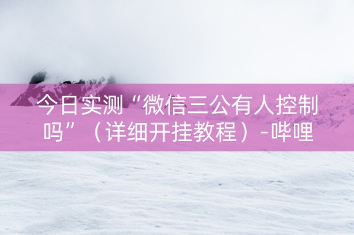 今日实测“微信三公有人控制吗”（详细开挂教程）-哔哩哔哩