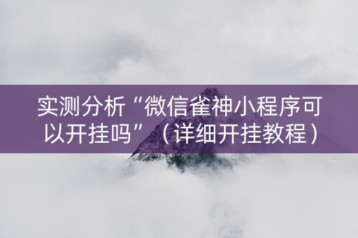 实测分析“微信雀神小程序可以开挂吗”（详细开挂教程）-哔哩哔哩
