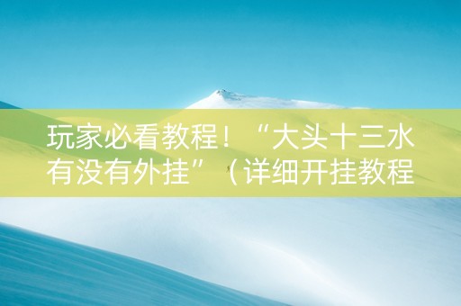 玩家必看教程！“大头十三水有没有外挂”（详细开挂教程）-哔哩哔哩