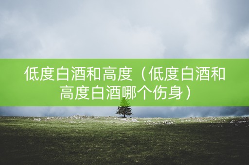 低度白酒和高度（低度白酒和高度白酒哪个伤身）