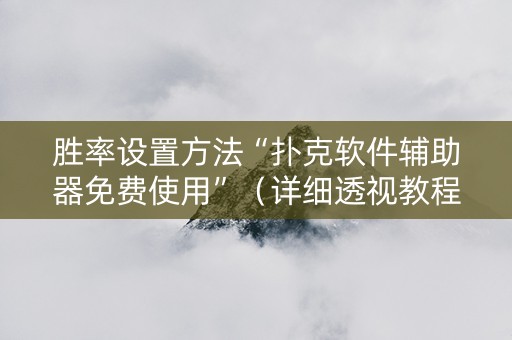 胜率设置方法“扑克软件辅助器免费使用”（详细透视教程）-哔哩哔哩