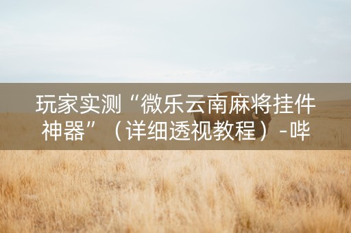玩家实测“微乐云南麻将挂件神器”（详细透视教程）-哔哩哔哩