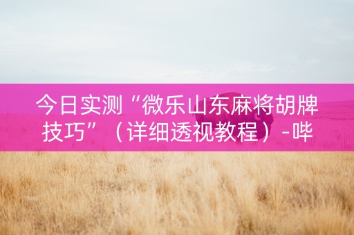 今日实测“微乐山东麻将胡牌技巧”（详细透视教程）-哔哩哔哩
