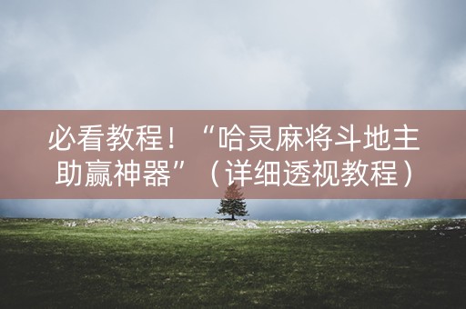 必看教程！“哈灵麻将斗地主助赢神器”（详细透视教程）-哔哩哔哩