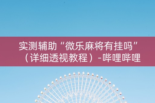 实测辅助“微乐麻将有挂吗”（详细透视教程）-哔哩哔哩