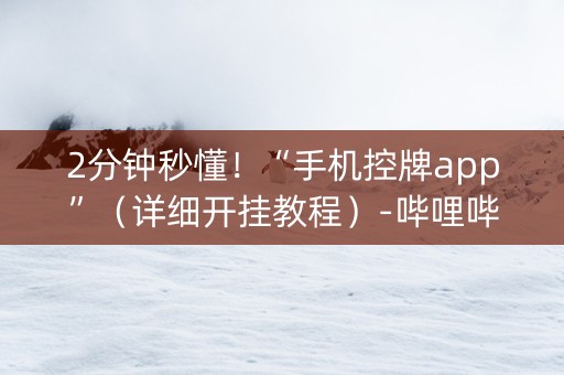 2分钟秒懂！“手机控牌app”（详细开挂教程）-哔哩哔哩