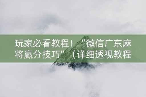玩家必看教程！“微信广东麻将赢分技巧”（详细透视教程）-哔哩哔哩
