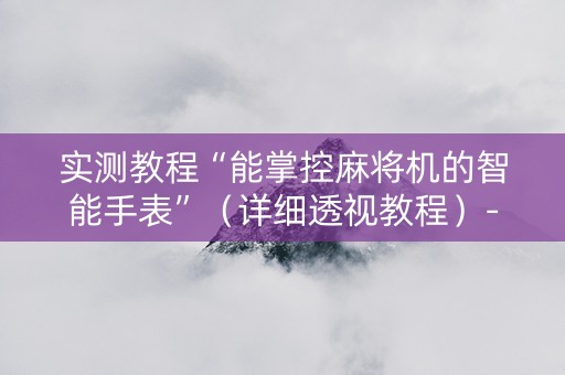 实测教程“能掌控麻将机的智能手表”（详细透视教程）-哔哩哔哩