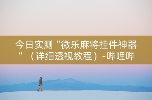 今日实测“微乐麻将挂件神器”（详细透视教程）-哔哩哔哩