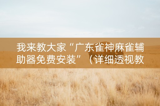 我来教大家“广东雀神麻雀辅助器免费安装”（详细透视教程）-哔哩哔哩
