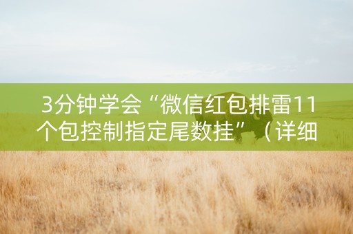 3分钟学会“微信红包排雷11个包控制指定尾数挂”（详细透视教程）-哔哩哔哩