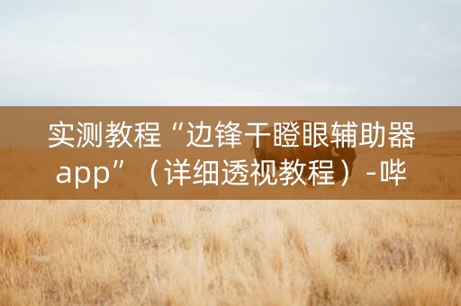 实测教程“边锋干瞪眼辅助器app”（详细透视教程）-哔哩哔哩