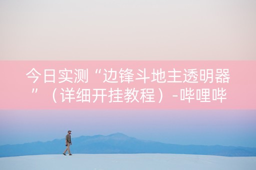 今日实测“边锋斗地主透明器”（详细开挂教程）-哔哩哔哩