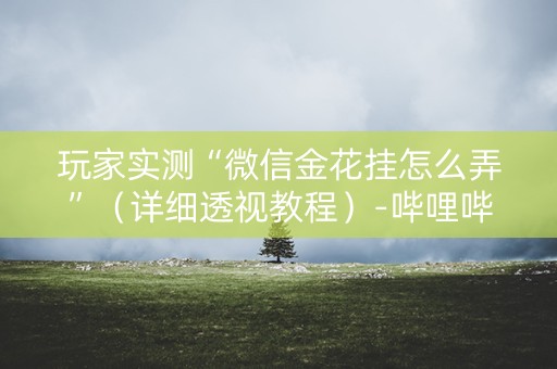 玩家实测“微信金花挂怎么弄”（详细透视教程）-哔哩哔哩