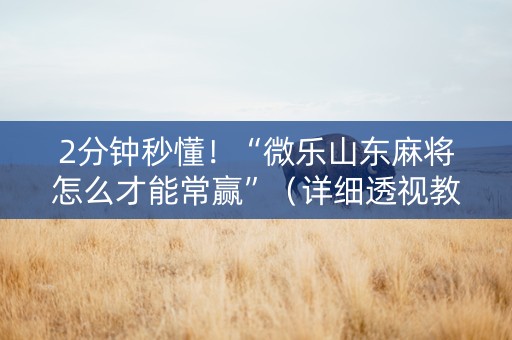 2分钟秒懂！“微乐山东麻将怎么才能常赢”（详细透视教程）-哔哩哔哩