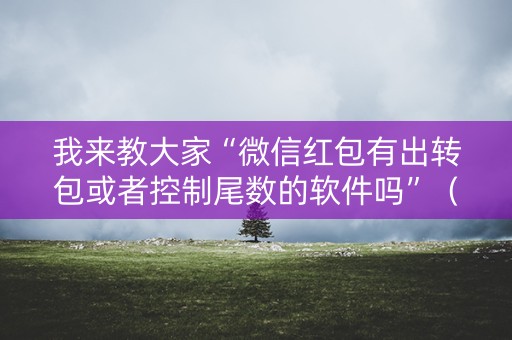 我来教大家“微信红包有出转包或者控制尾数的软件吗”（详细透视教程）-哔哩哔哩